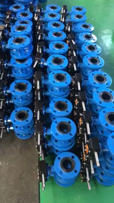Ductile Iron Concentric Butterfly Valve