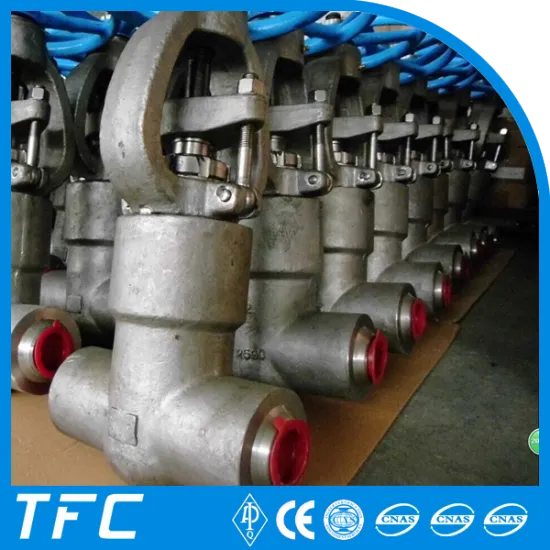 multi turn stainless steel gate valves