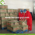 Factory Supply Fruits Box Package Wholesale Goji Berry