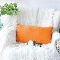 Colorful Fashion Home Fabric Throw Pillow