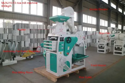 500-600kg/h Small Scale Combined Rice Mill for Philippines