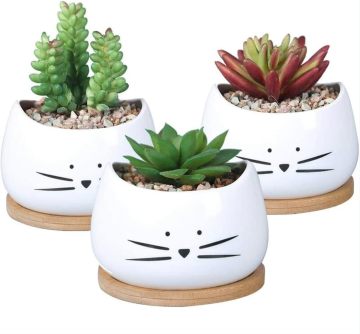 Ceramic Flower Pots Set with Wooden Tray