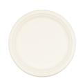 Wholesale 10 Inch Factory Price Degradable Disposable Bagasse Tableware Paper Dinner Plates Dinnerware