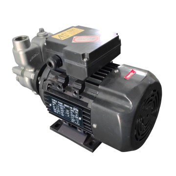 Hot Selling Gas-Liquid Mixing Pump: Micro-bubble Pump and Nano Bubble Generator