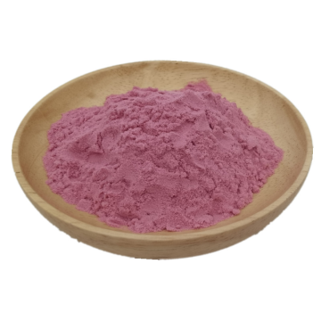 Bulk OEM service organic acerola cherry powder