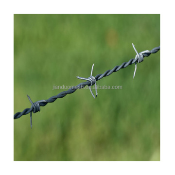 Black Chain Link Fencing Trellis with Barbed Wire