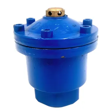 Ductile Iron Rapid Thread Exhaust Valve