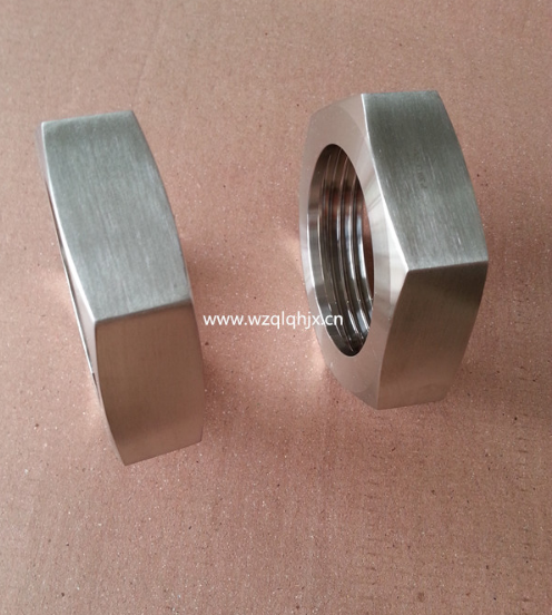 الاتحاد الصحي مع معيار Hex Nut RJT