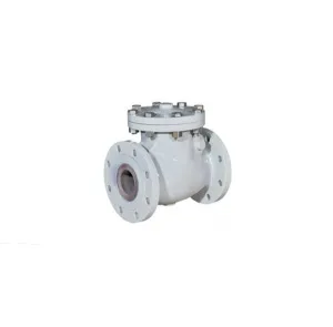 Swing Type Class1500 Check Valve