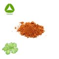 Bio -Lebensmittelqualität Ulva Lactuca -Seetang -Extraktpulver