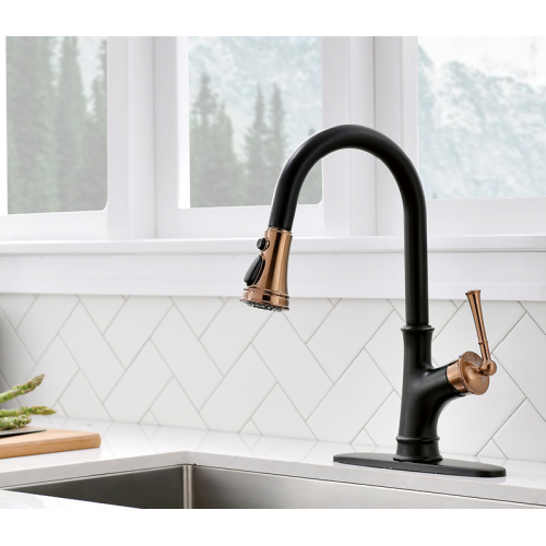 Nickel Plated Stylish Design Black Kitchen Sink Faucet