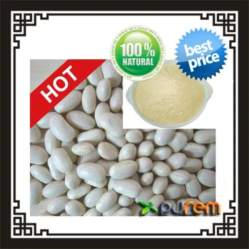 White Kidney Bean Powder Extract, High Quality White Kidney Bean Powder Extract on