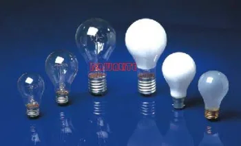 A19 Incandescent Lamp (CE,RoHS Approved)