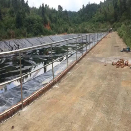 Black Geomembrane 1mm for Canal