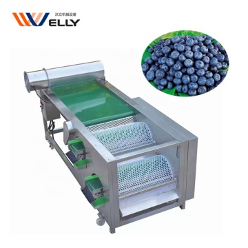 Blueberry -verwerking en kersen sorteerapparatuur