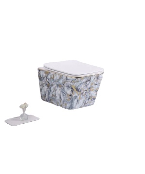 Modern Style Color Wall Hung Ceramic Toilet for Hotel Bathroom