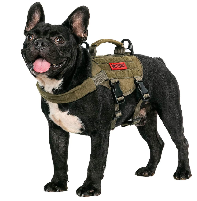 Small Medium Puppy Dog Harness