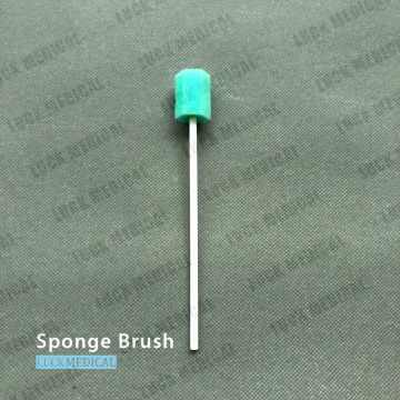 Disposable Sponge Brush Single Use
