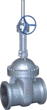 Cryogenic Bolt Bonnet Gate Valve