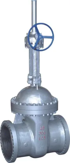 Cryogenic Bolt Bonnet Gate Valve