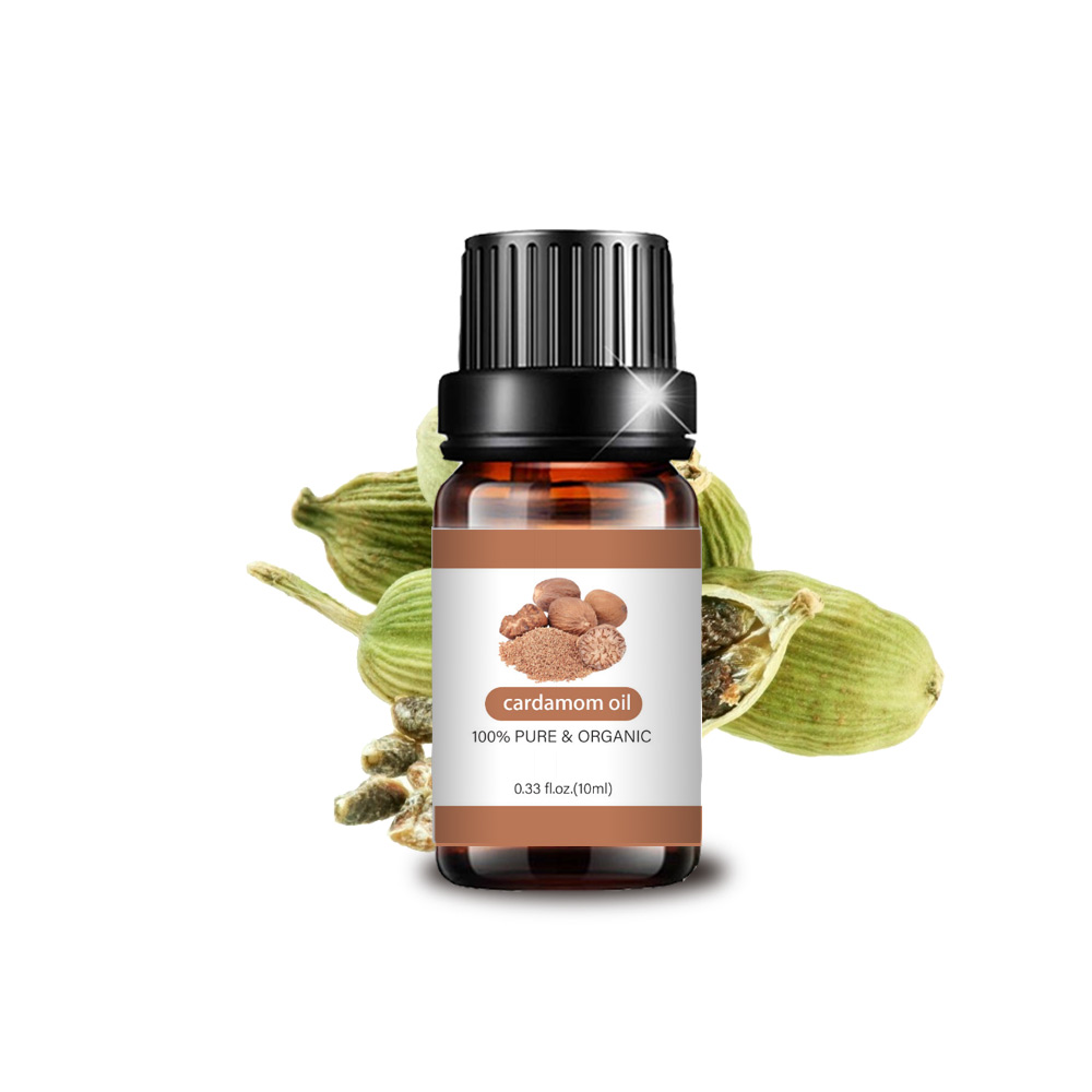 Best 100% Pure Essential Oil Cardamom Oil