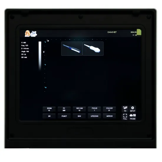 dog in veterinary ultrasound machine