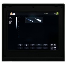 Ветэрынарная ультрагукавая машына для экзамену на жывёл