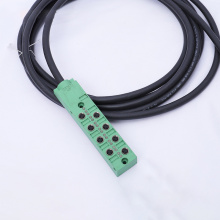 Terminal Block M12 Connector Junction Box Cable Factory