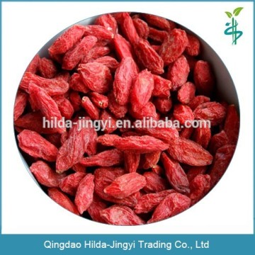 Goji berry wolfberry organic goji berry