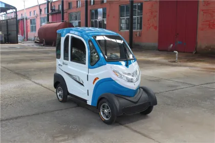 Al-Xfx China Neighborhood Electric Vehicle Price