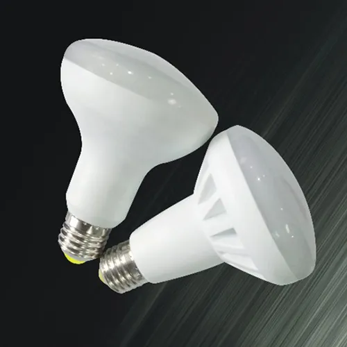 R50 R63 R80 LED Bulb Light