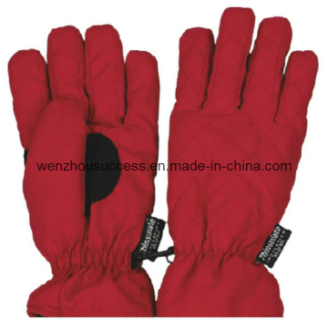 Ski Gloves (SH12-2G034)