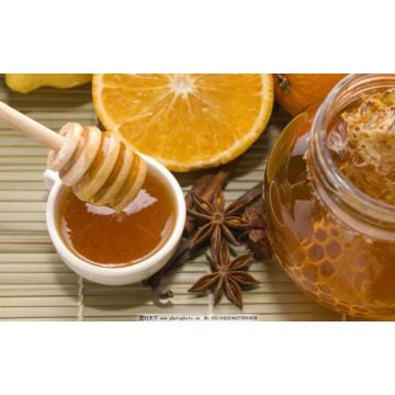 Low Price Exporting Bulk Little Fennel Honey