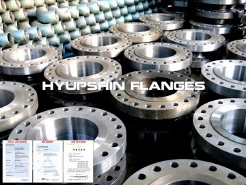 EN1092-1 TYPE 11 WNRF SCH40 Flange