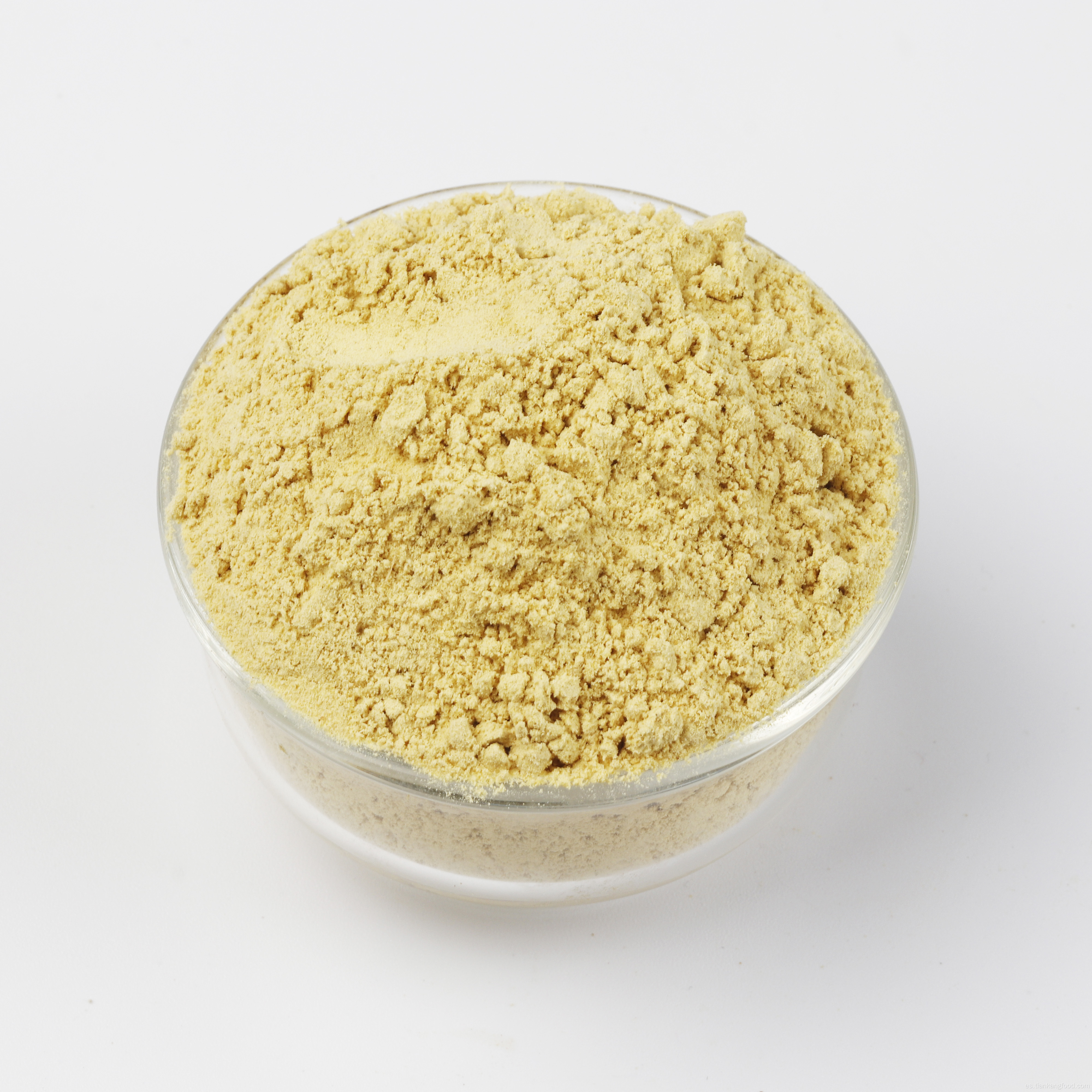 Hierbas de polvo de jengibre amarillo deshidratado y especias en polvo