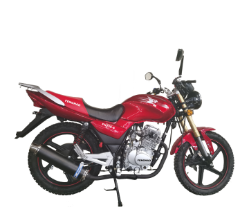 Hot Fashion Outfoor Mayor Durable Durable 250cc Sports Motorcycle FH250-SC de China