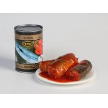 canned mackerels in tomato sauce