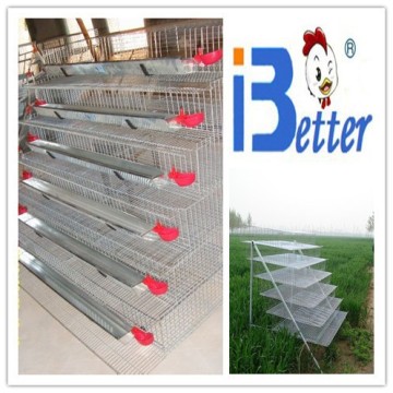 BT Factory new design high quality layer quail cages for sale in kenya farm