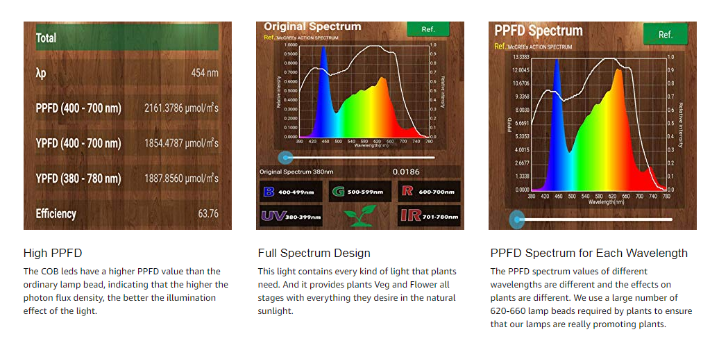 2000w Test Report