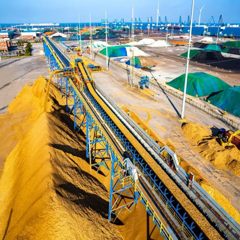 High-Performance Long-Distance Belt Conveyor for Port Bulk Cargo Transport