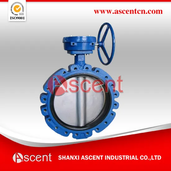 Lug Style Butterfly Valve