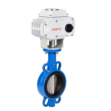Stainless Steel 2 Inch Butterfly Valve