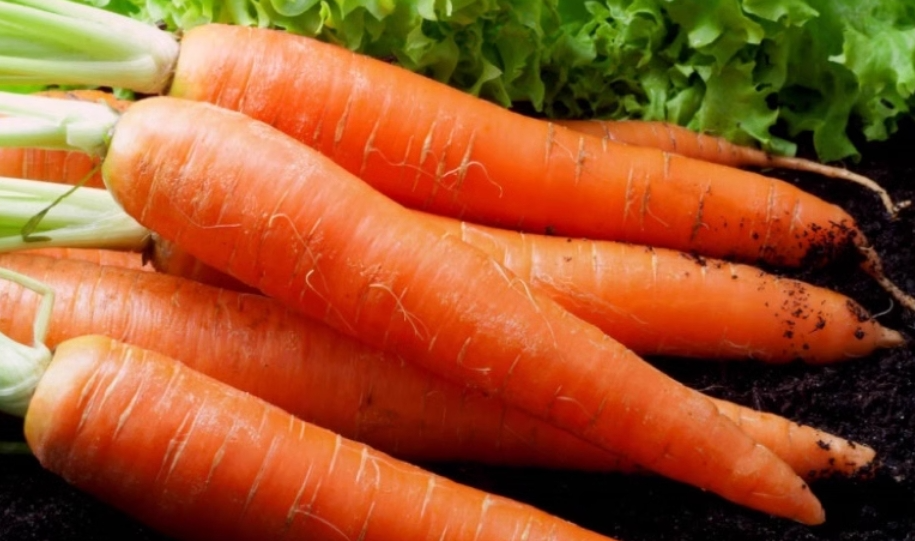 Carotenoids Carotenoids