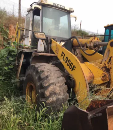 Intake and exhaust valves FL956F