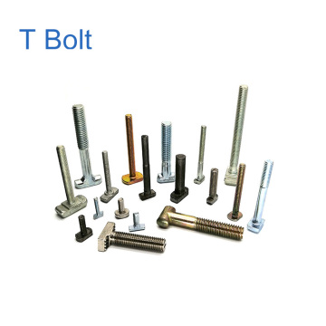 Stainless Steel M8 T Head Bolt