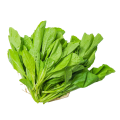 Spinach Extract(Spinach Juice Powder)