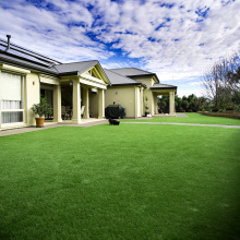 Enhance Your Yard with Yard Artificial Grass