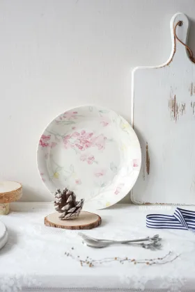 Ceramic illustration style Western tableware