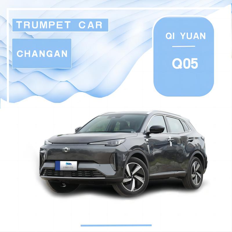 Changan Qiyuan Q05 извонредност