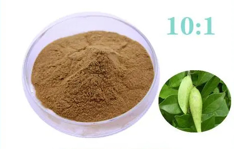 Gymnemic acid POWDER